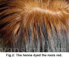 220517153034_Hair-Dying with henna-s.jpg